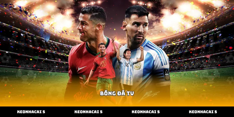 Theo dõi các trận đấu trực tiếp trên bóng đá tv