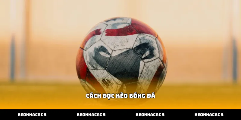 Hướng dẫn cách đọc kèo bóng đá chi tiết tại sân chơi cá cược