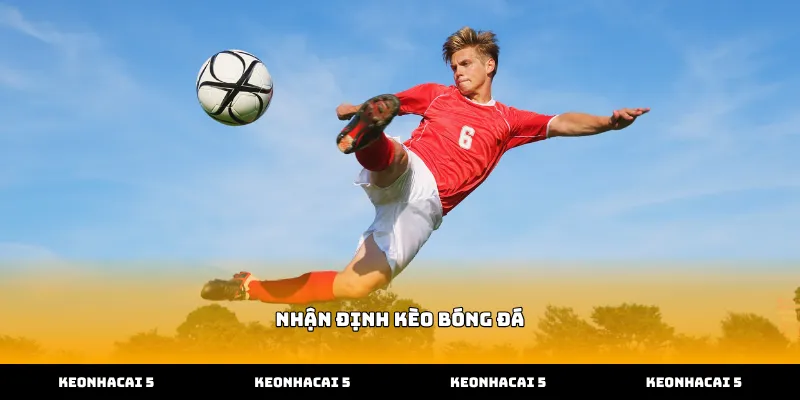 Kỹ năng nhận định kèo bóng đá qua đội hình ra sân