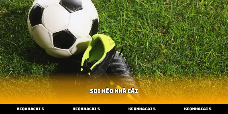 Cách xem biến động tỷ lệ soi kèo nhà cái trực tuyến